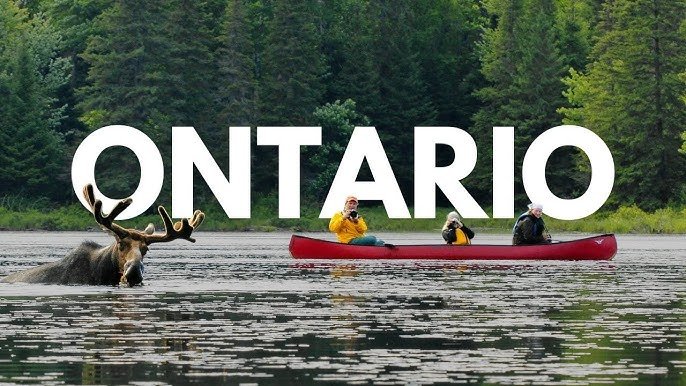 Ontario Immigration 2026: Latest PR Pathways Explained + Official Application Link