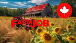 Farm worker, grain 23 vacancies Permanent employment Full time