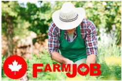 Farm labourer 19 vacancies Seasonal employment Full time